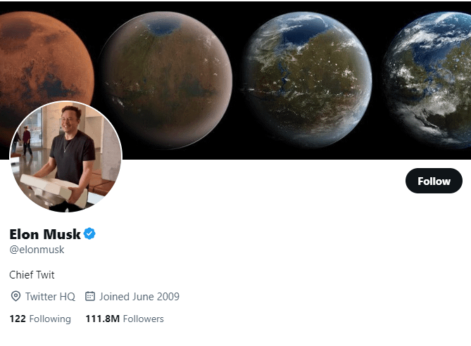 Chief Twit Elon Musk